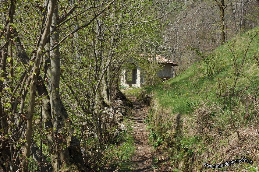 066 La Forcella.JPG